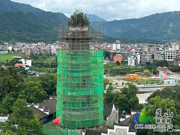 我县启动塔下寺传芳塔保护修缮工程.jpg