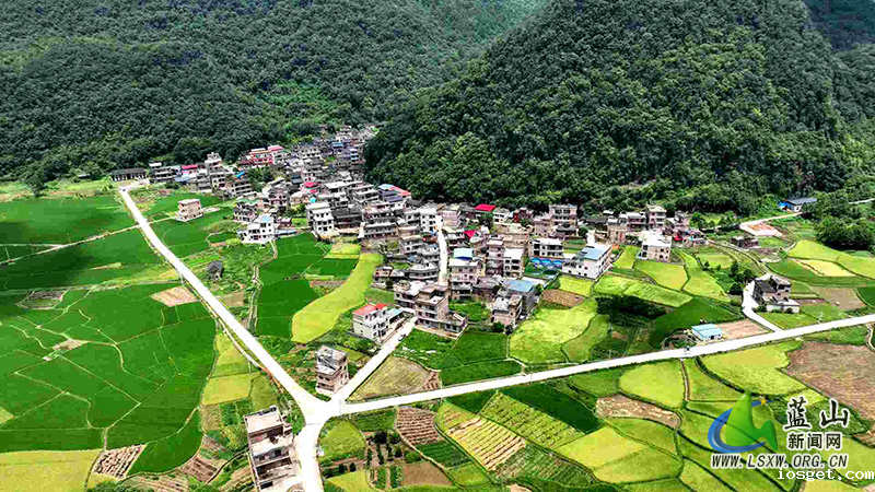 华体会登陆网站：旅游公路助力乡村振兴.jpg