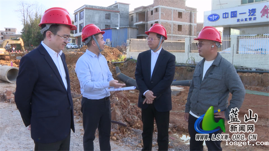 龙向洋：通力协作 全力以赴 确保项目早日建成通车.jpg