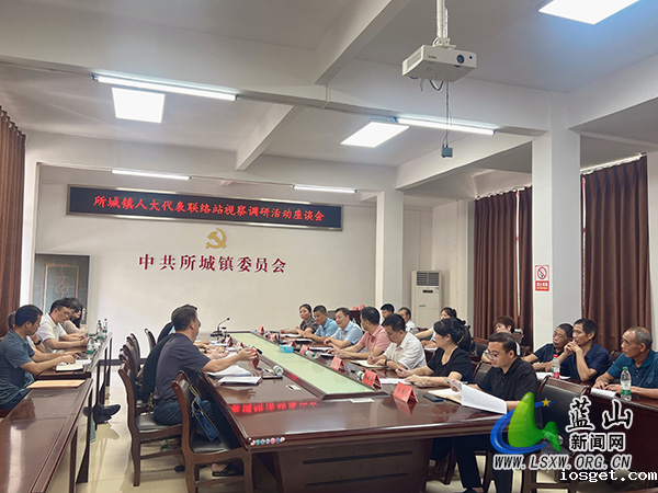 曹晓春率队到所城镇开展燃气专项视察调研活动.jpg