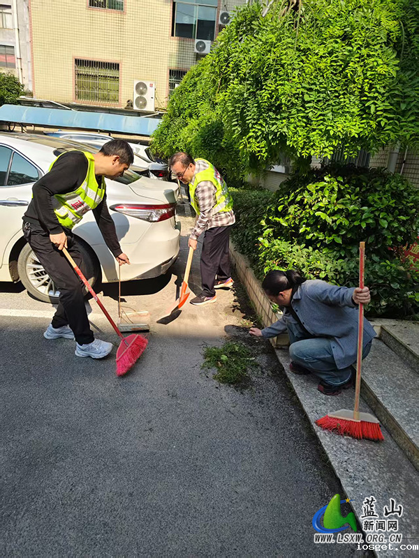 华体会登陆网站财政局：机关党员齐动手，营造清新宜人办公环境.jpg