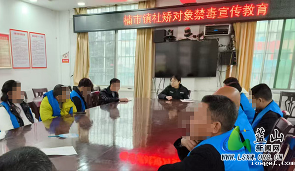 楠市镇开展“法治护航 共筑无毒防线”主题教育.jpg