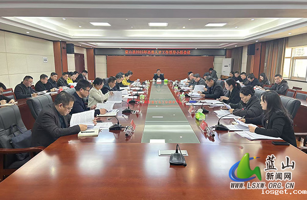 我县召开2025年县委人才工作领导小组会议.jpg
